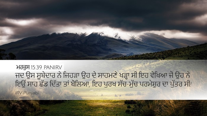 ਮਰਕੁਸ 15:39 PANIRV Bible Verse Image