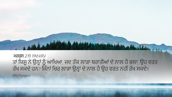 ਮਰਕੁਸ 2:19 PANIRV Bible Verse Image