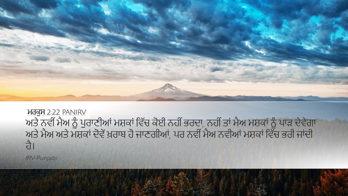 ਮਰਕੁਸ 2:22 PANIRV Bible Verse Image