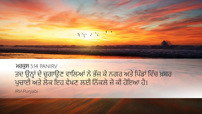 ਮਰਕੁਸ 5:14 PANIRV Bible Verse Image