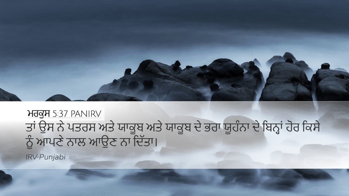 ਮਰਕੁਸ 5:37 PANIRV Bible Verse Image