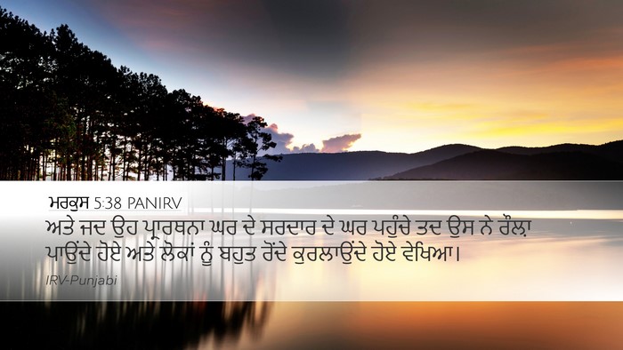 ਮਰਕੁਸ 5:38 PANIRV Bible Verse Image