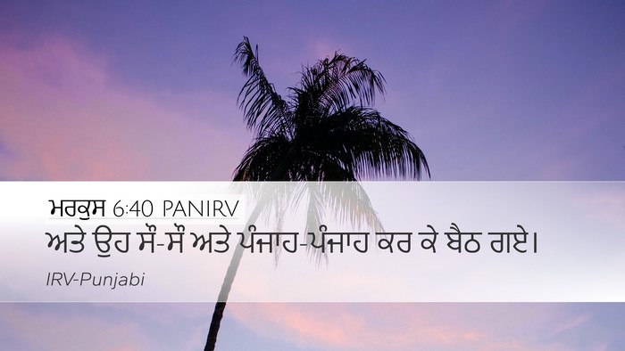 ਮਰਕੁਸ 6:40 PANIRV Desktop Wallpaper - ਅਤੇ ਉਹ ਸੌ-ਸੌ ਅਤੇ - Desktop Bible Verse Wallpaper