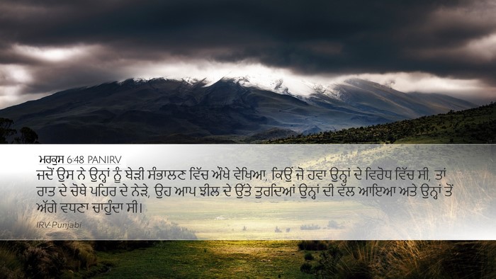 ਮਰਕੁਸ 6:48 PANIRV Bible Verse Image