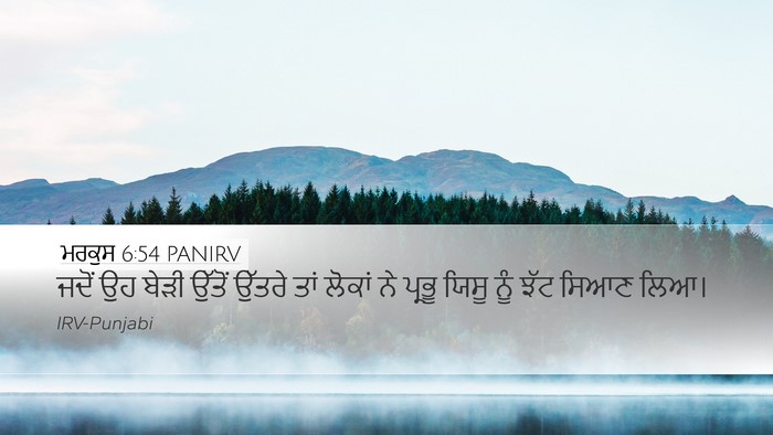 ਮਰਕੁਸ 6:54 PANIRV Bible Verse Image