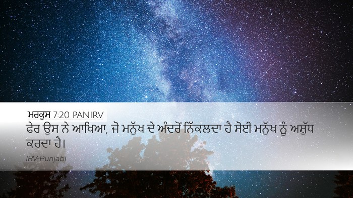 ਮਰਕੁਸ 7:20 PANIRV Bible Verse Image