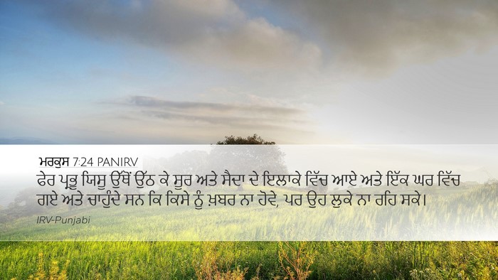 ਮਰਕੁਸ 7:24 PANIRV Bible Verse Image