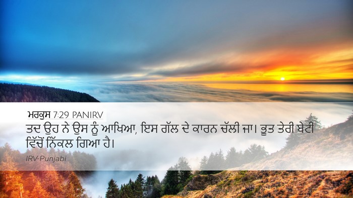ਮਰਕੁਸ 7:29 PANIRV Bible Verse Image