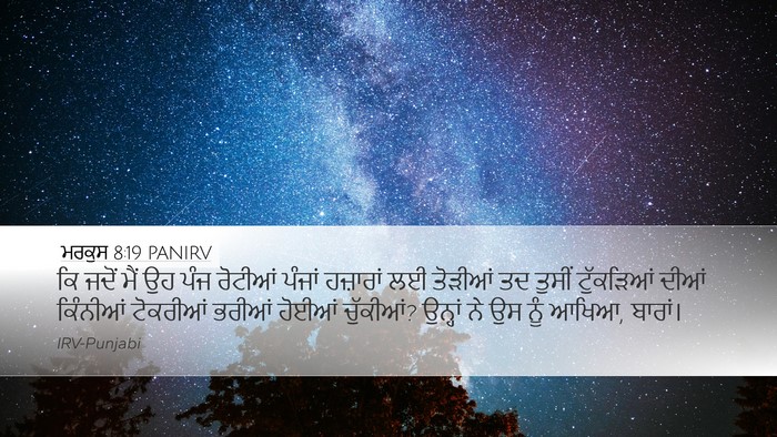 ਮਰਕੁਸ 8:19 PANIRV Bible Verse Image