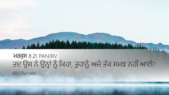 ਮਰਕੁਸ 8:21 PANIRV Bible Verse Image
