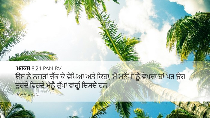 ਮਰਕੁਸ 8:24 PANIRV Bible Verse Image