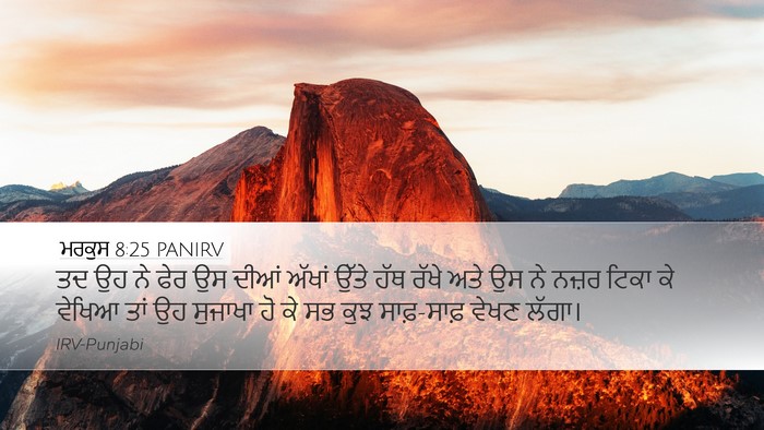 ਮਰਕੁਸ 8:25 PANIRV Bible Verse Image