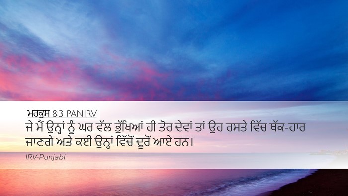 ਮਰਕੁਸ 8:3 PANIRV Bible Verse Image