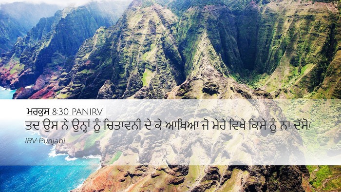 ਮਰਕੁਸ 8:30 PANIRV Bible Verse Image