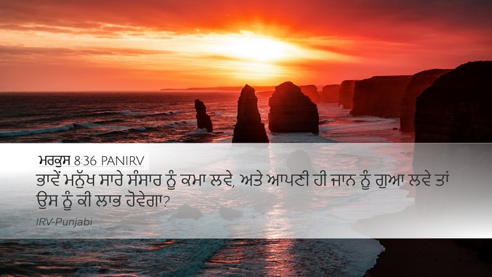 ਮਰਕੁਸ 8:36 PANIRV Bible Verse Image