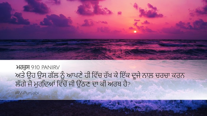 ਮਰਕੁਸ 9:10 PANIRV Bible Verse Image