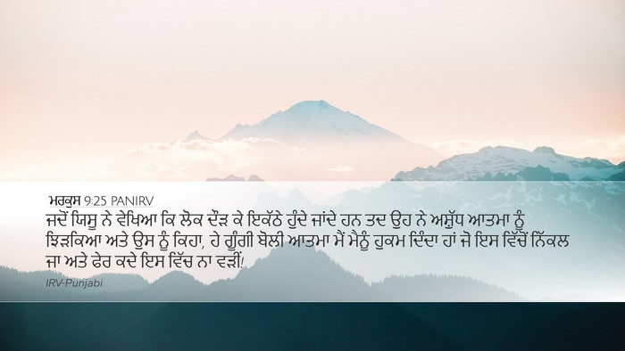 ਮਰਕੁਸ 9:25 PANIRV Bible Verse Image