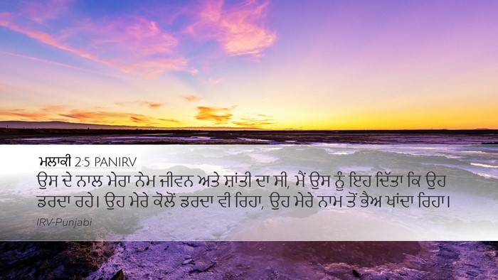 ਮਲਾਕੀ 2:5 PANIRV Bible Verse Image