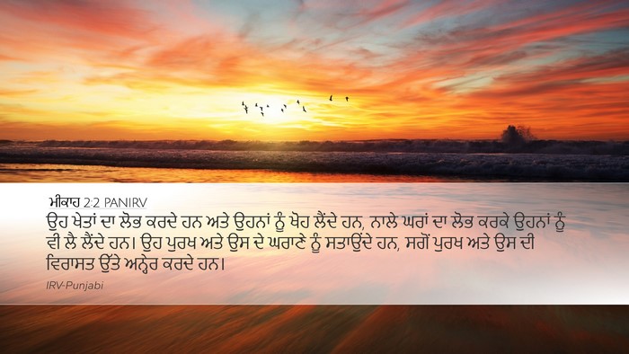 ਮੀਕਾਹ 2:2 PANIRV Bible Verse Image