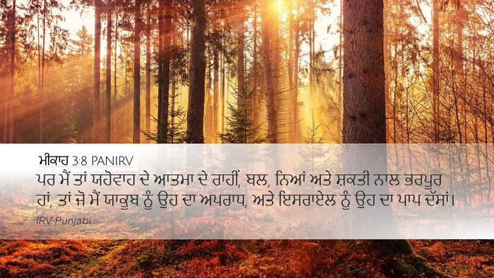 ਮੀਕਾਹ 3:8 PANIRV Bible Verse Image