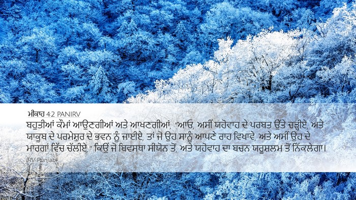 ਮੀਕਾਹ 4:2 PANIRV Bible Verse Image