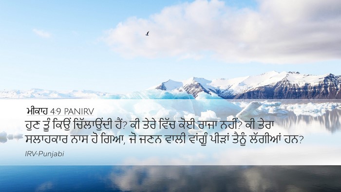 ਮੀਕਾਹ 4:9 PANIRV Bible Verse Image