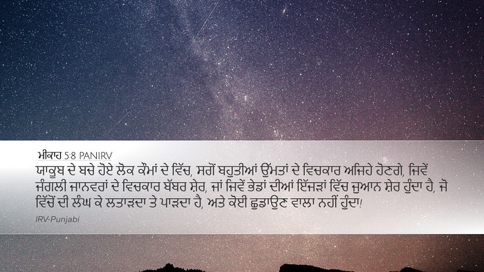 ਮੀਕਾਹ 5:8 PANIRV Bible Verse Image