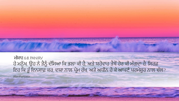 ਮੀਕਾਹ 6:8 PANIRV Bible Verse Image