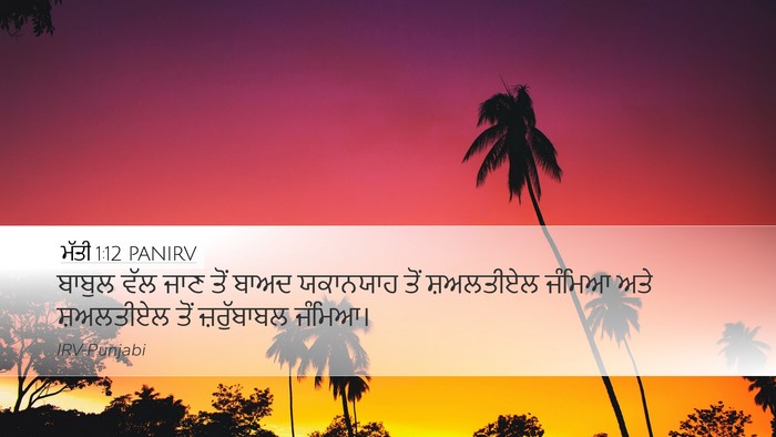 ਮੱਤੀ 1:12 PANIRV Bible Verse Image