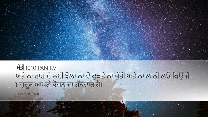 ਮੱਤੀ 10:10 PANIRV Bible Verse Image