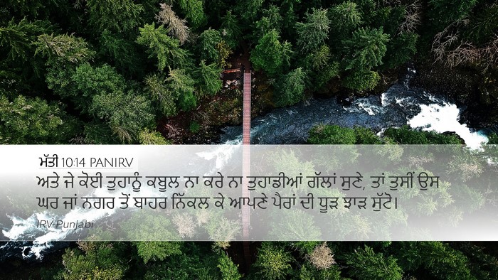 ਮੱਤੀ 10:14 PANIRV Bible Verse Image