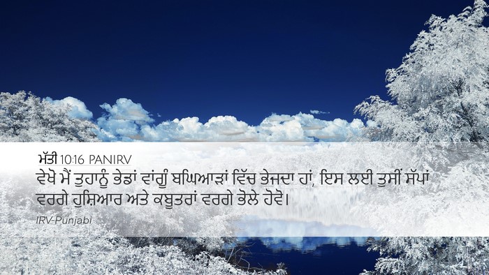ਮੱਤੀ 10:16 PANIRV Bible Verse Image