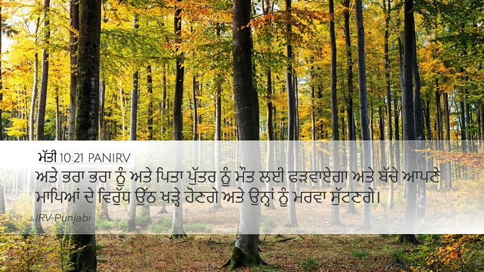 ਮੱਤੀ 10:21 PANIRV Bible Verse Image