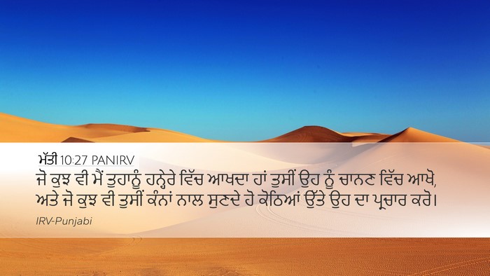 ਮੱਤੀ 10:27 PANIRV Bible Verse Image