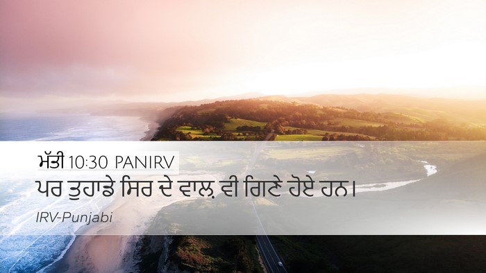 ਮੱਤੀ 10:30 PANIRV Bible Verse Image
