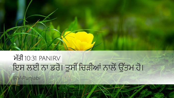 ਮੱਤੀ 10:31 PANIRV Bible Verse Image