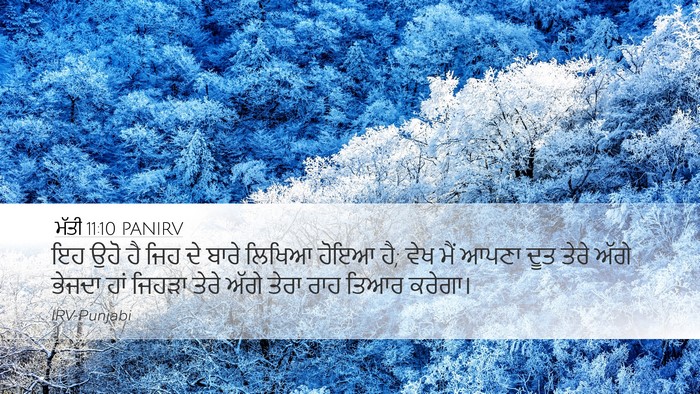 ਮੱਤੀ 11:10 PANIRV Bible Verse Image