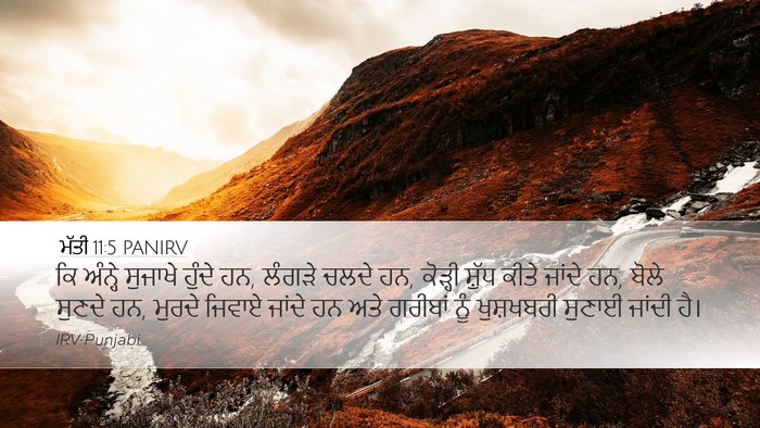 ਮੱਤੀ 11:5 PANIRV Bible Verse Image