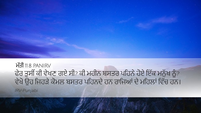 ਮੱਤੀ 11:8 PANIRV Bible Verse Image