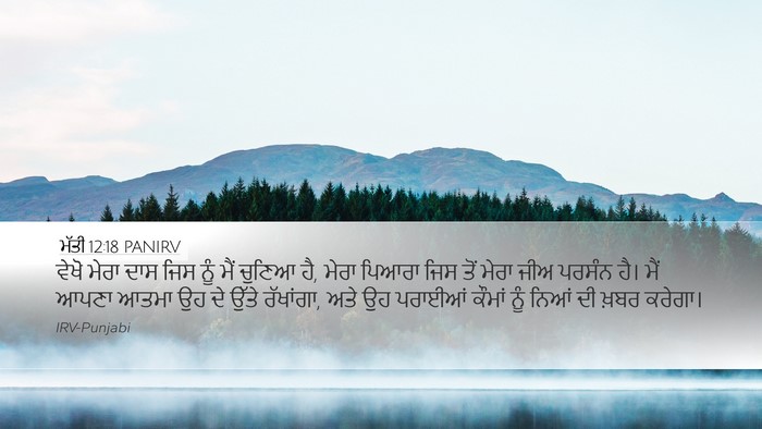 ਮੱਤੀ 12:18 PANIRV Bible Verse Image