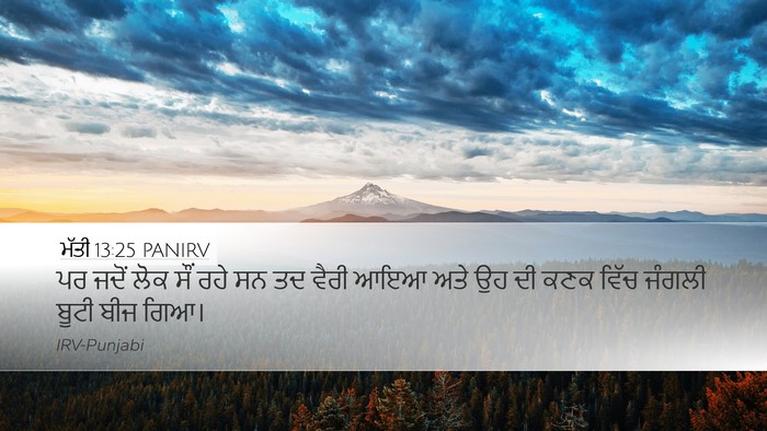 ਮੱਤੀ 13:25 PANIRV Bible Verse Image