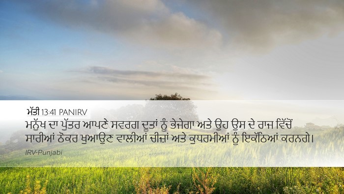 ਮੱਤੀ 13:41 PANIRV Desktop Wallpaper - ਮਨੁੱਖ ਦਾ ਪੁੱਤਰ - Desktop Bible Verse Wallpaper