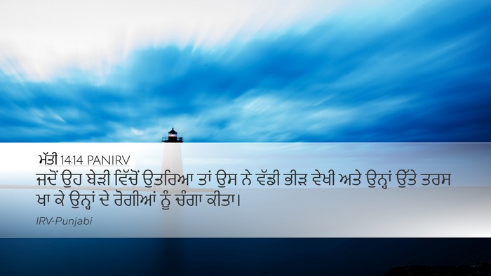 ਮੱਤੀ 14:14 PANIRV Bible Verse Image
