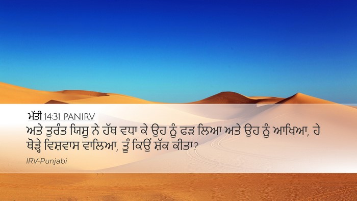 ਮੱਤੀ 14:31 PANIRV Bible Verse Image