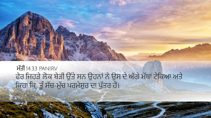 ਮੱਤੀ 14:33 PANIRV Bible Verse Image