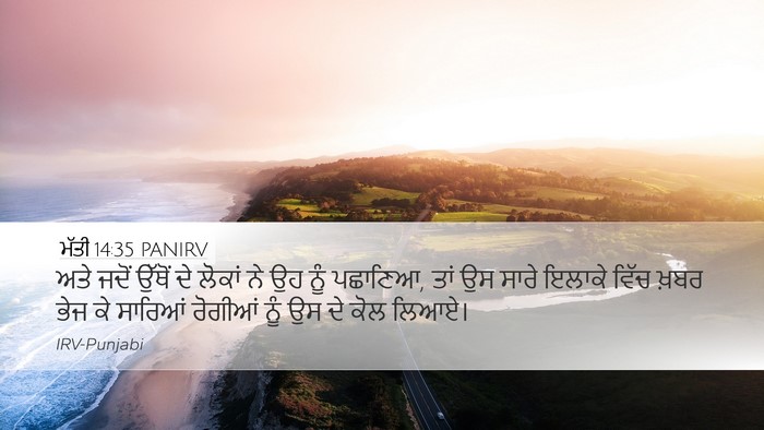 ਮੱਤੀ 14:35 PANIRV Bible Verse Image
