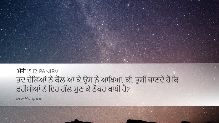 ਮੱਤੀ 15:12 PANIRV Bible Verse Image