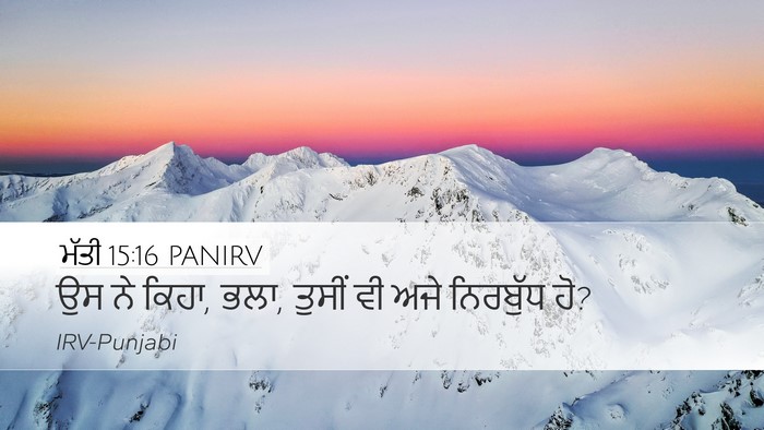 ਮੱਤੀ 15:16 PANIRV Bible Verse Image