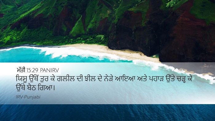 ਮੱਤੀ 15:29 PANIRV Bible Verse Image