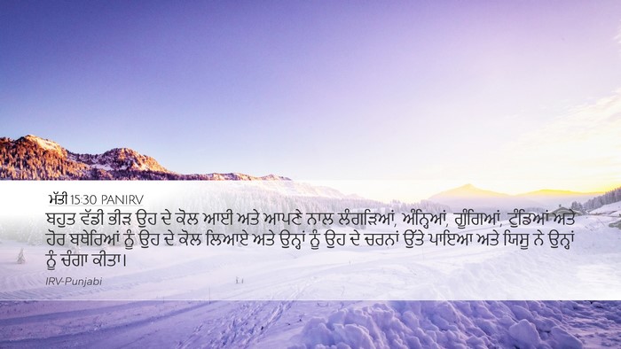 ਮੱਤੀ 15:30 PANIRV Bible Verse Image